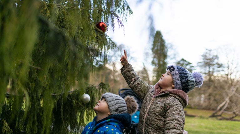 Family exploring the Christmas trail at Rowallane Garden